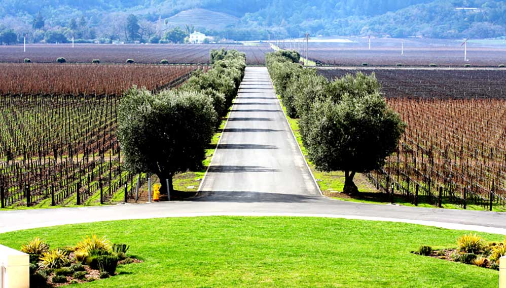 Opus One Winery