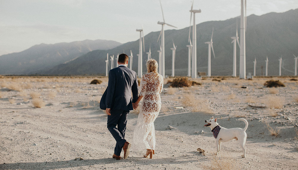 couple with their dog looking at windmills in the desert